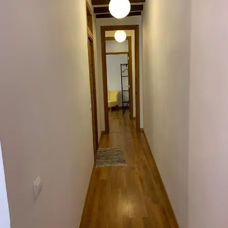 Pigal 1 Apartament Centre Historic *